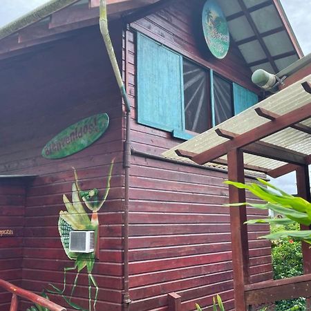מלון בוקס דל טורו Free Spirit Oasis מראה חיצוני תמונה