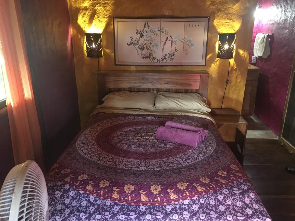 מלון בוקס דל טורו Free Spirit Oasis מראה חיצוני תמונה