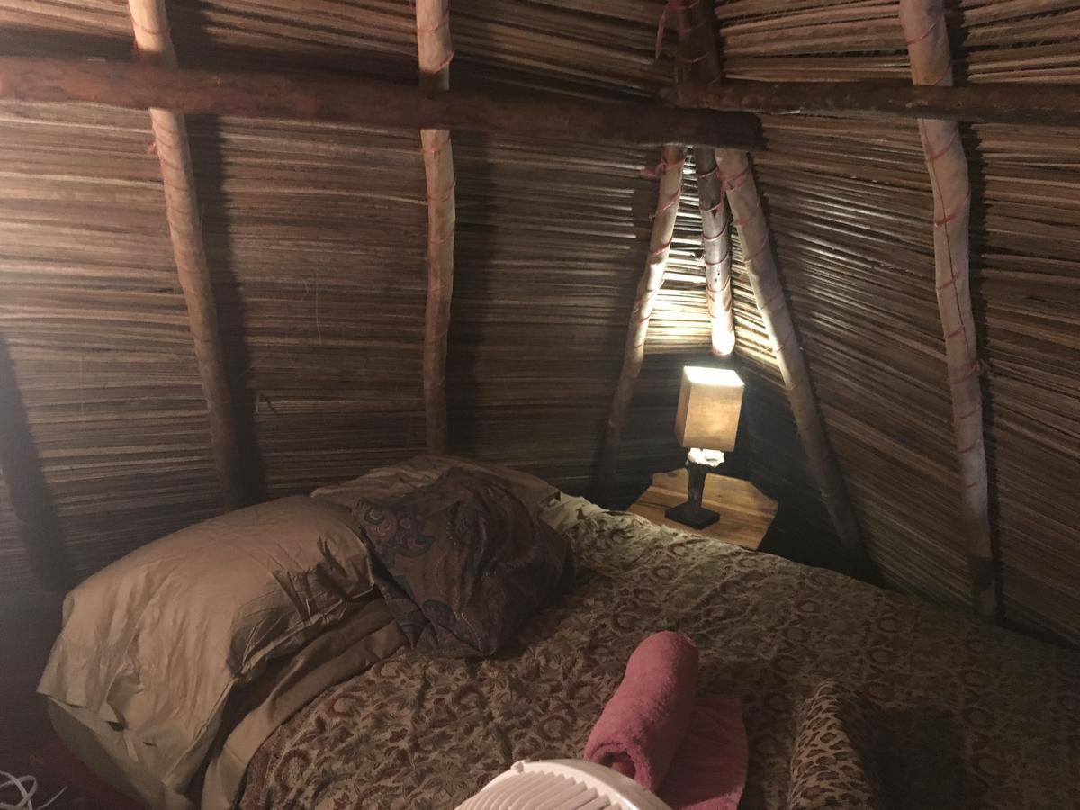 מלון בוקס דל טורו Free Spirit Oasis מראה חיצוני תמונה