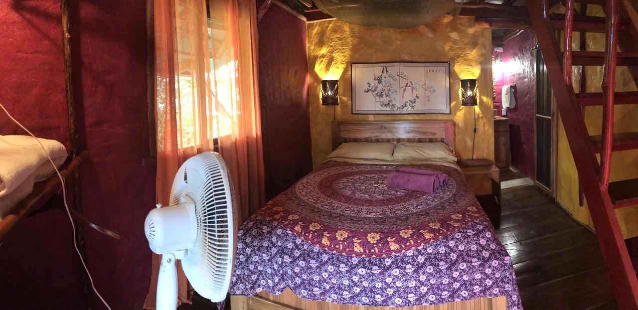 מלון בוקס דל טורו Free Spirit Oasis מראה חיצוני תמונה